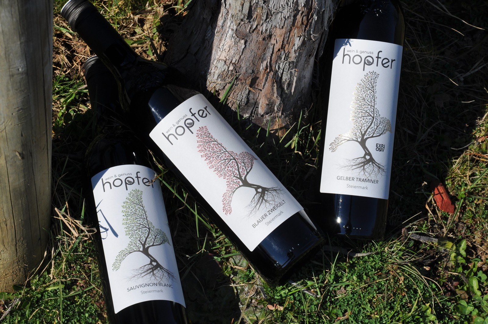 Hopfer