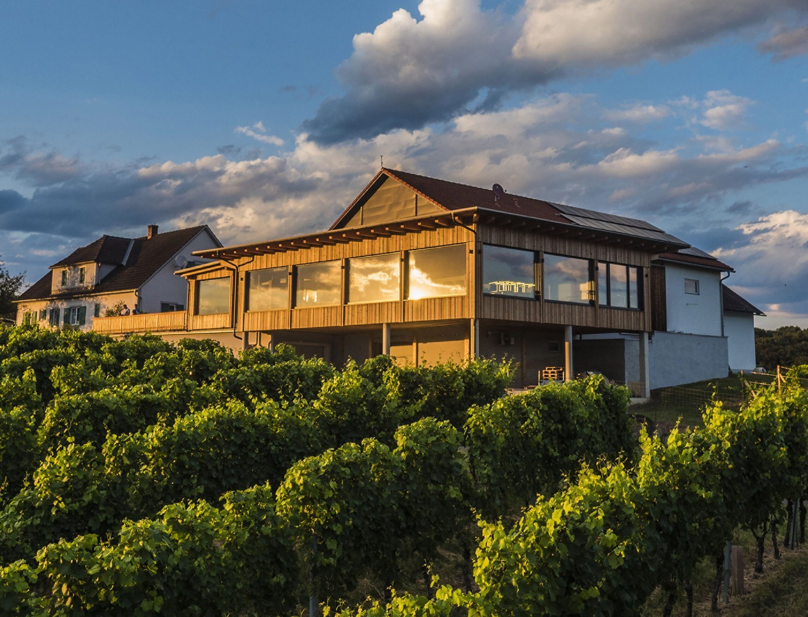 Weingut Edelsbrunner