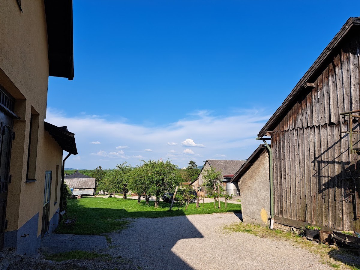 Schelhammerhof
