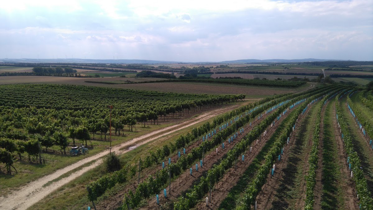 Stoiber Weine