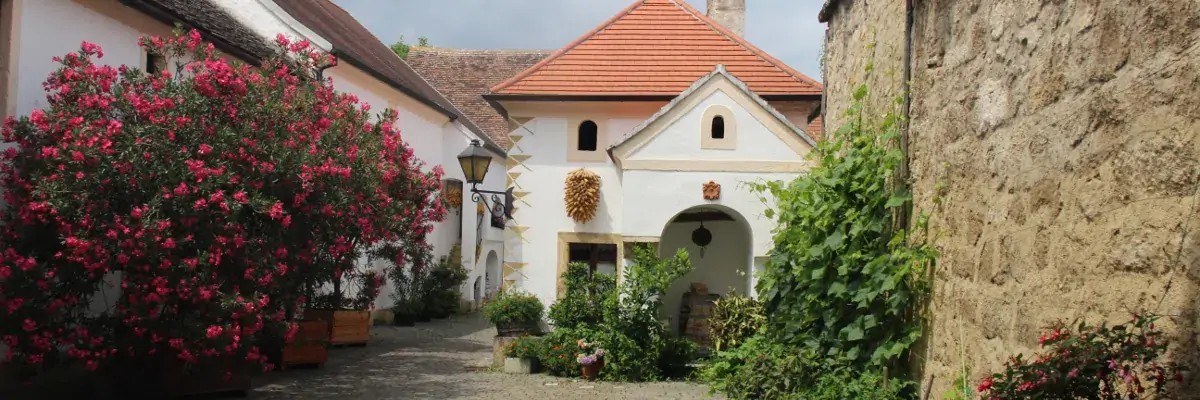 Storchenhof - Widder
