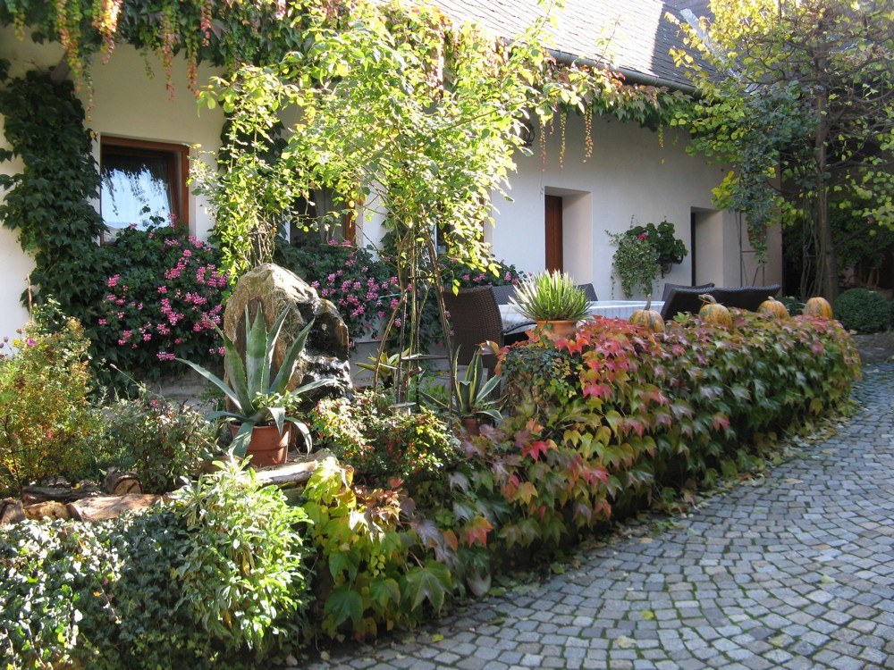 Hofstötter