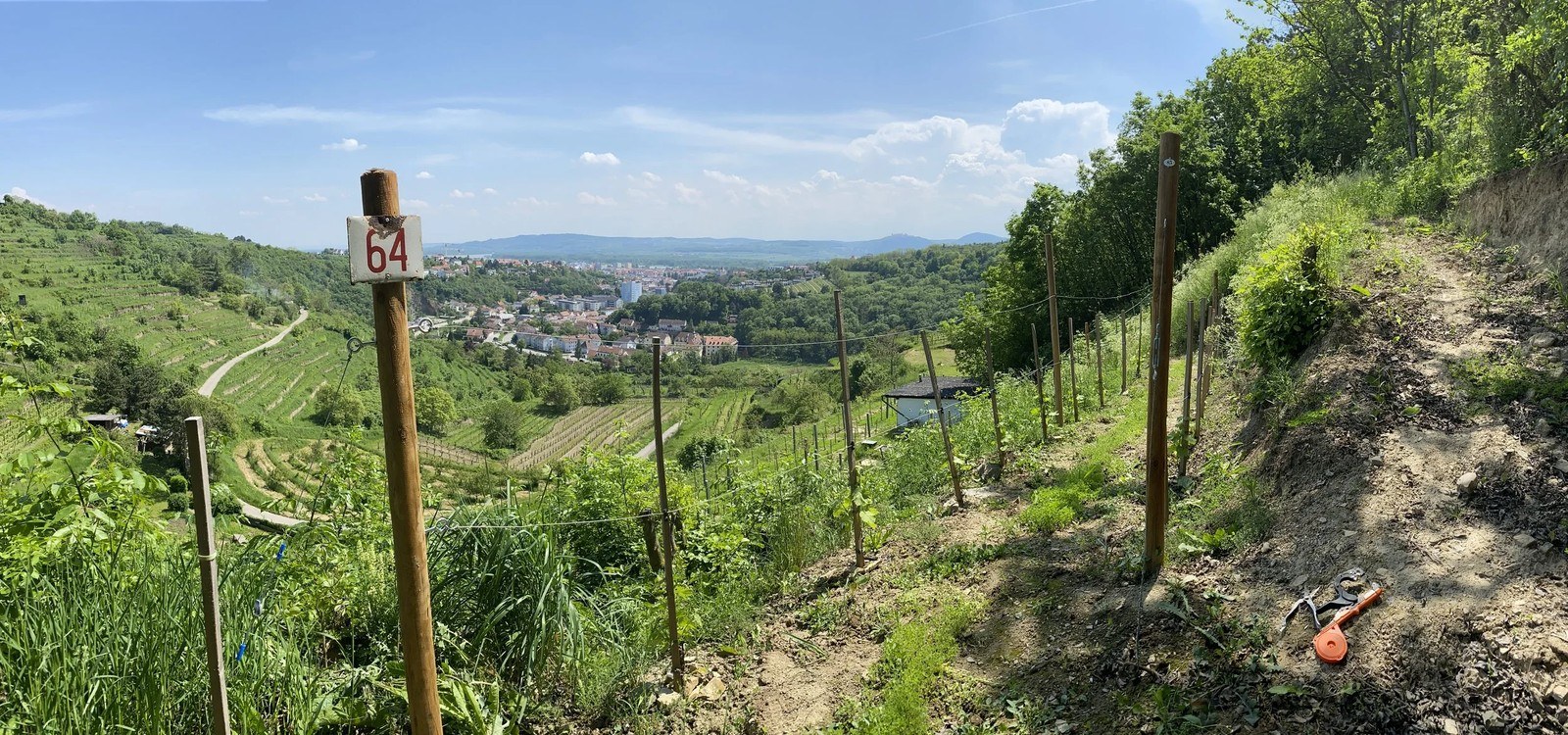 Kapitel Zwei Wine