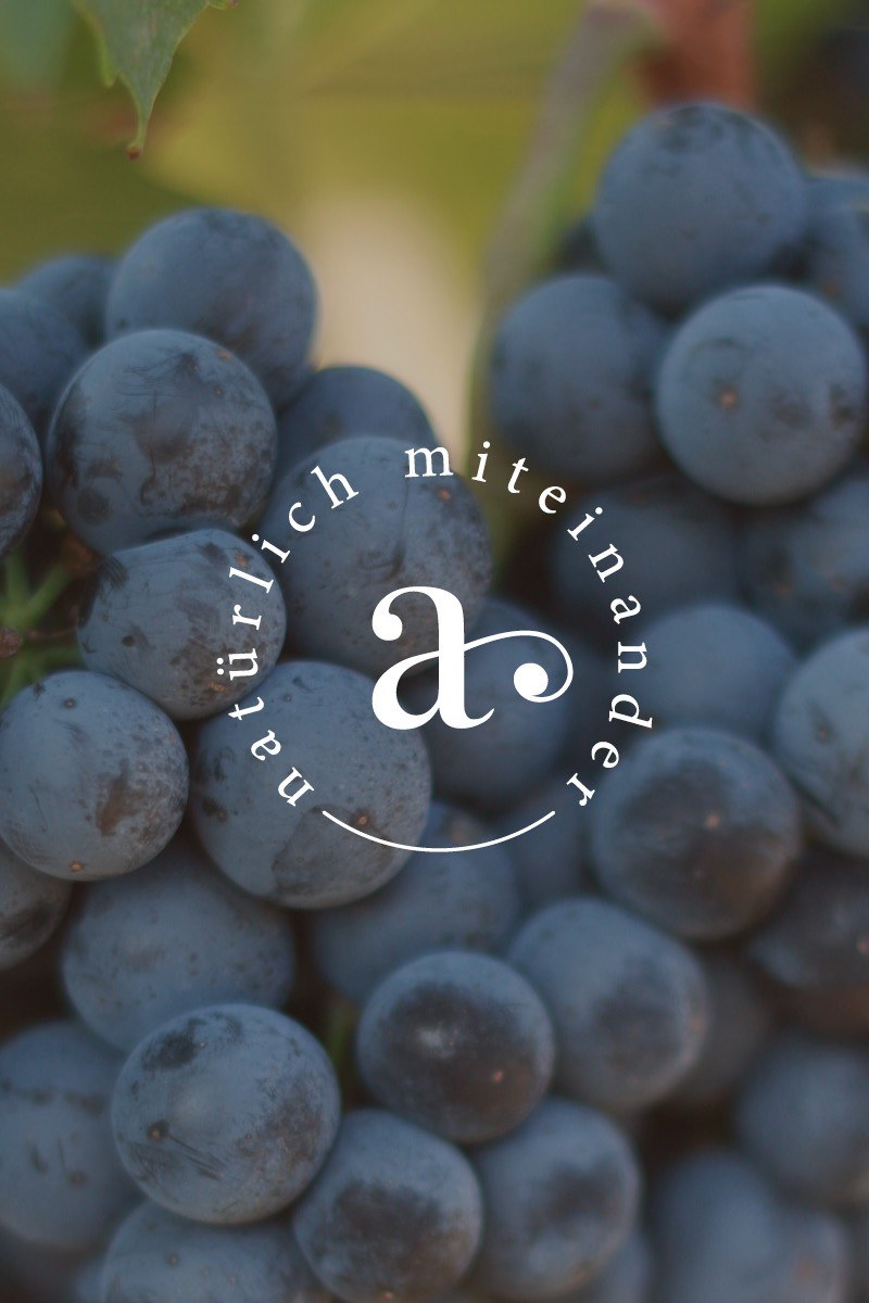 Domaine Andau