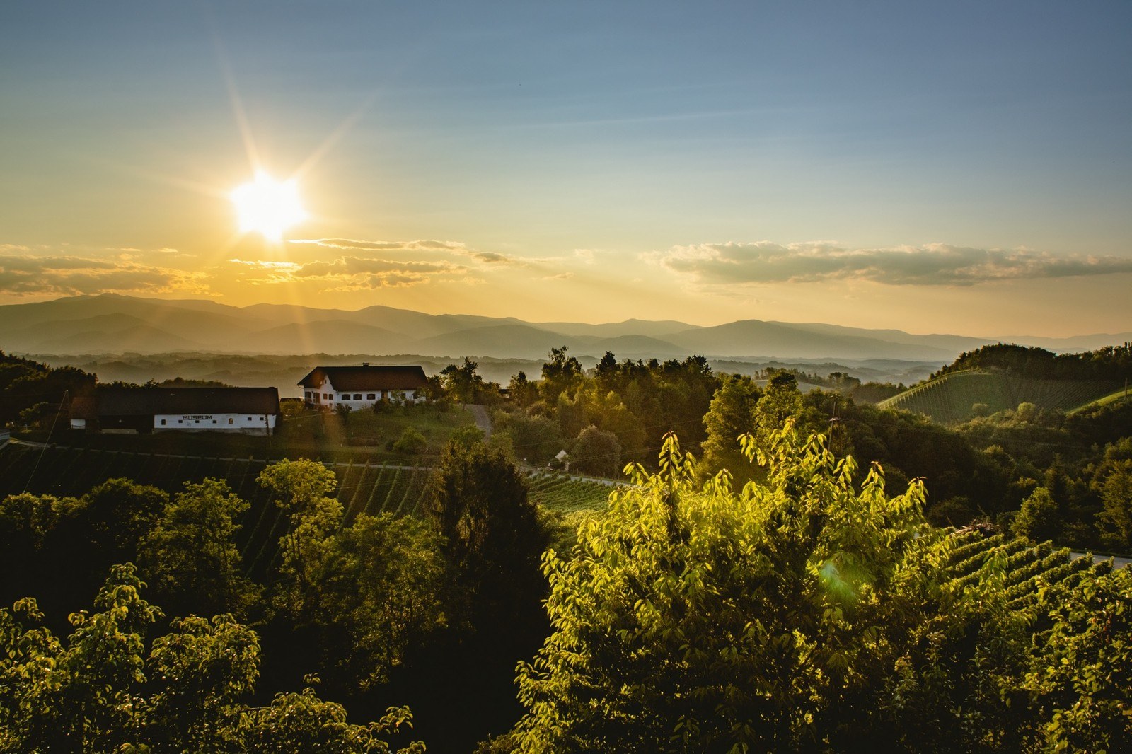 Wildbacher