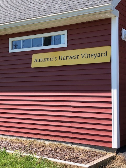 Autumn's Harvest Vineyard