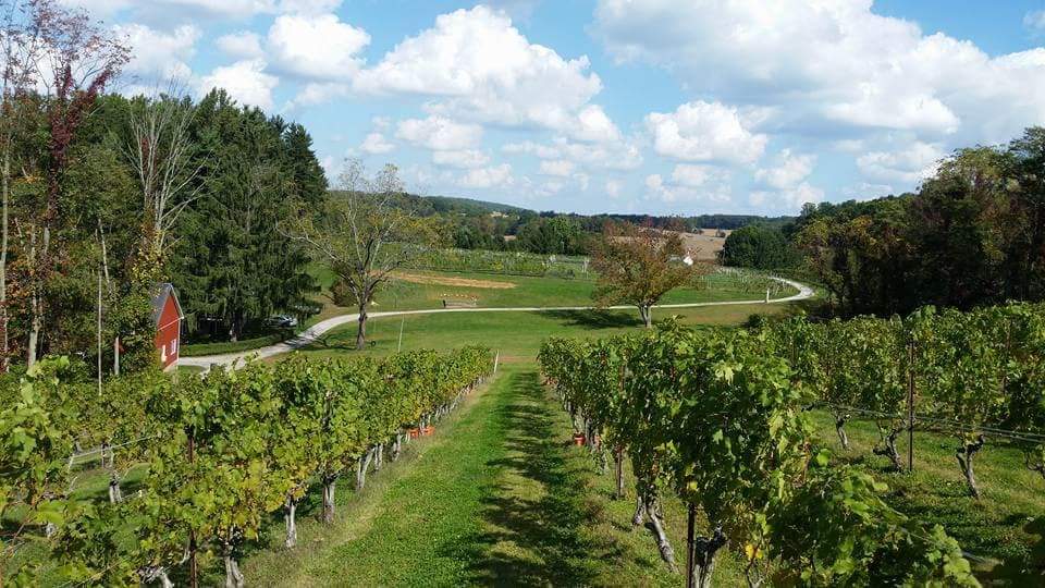 BALLA CLOICHE VINEYARDS LLC