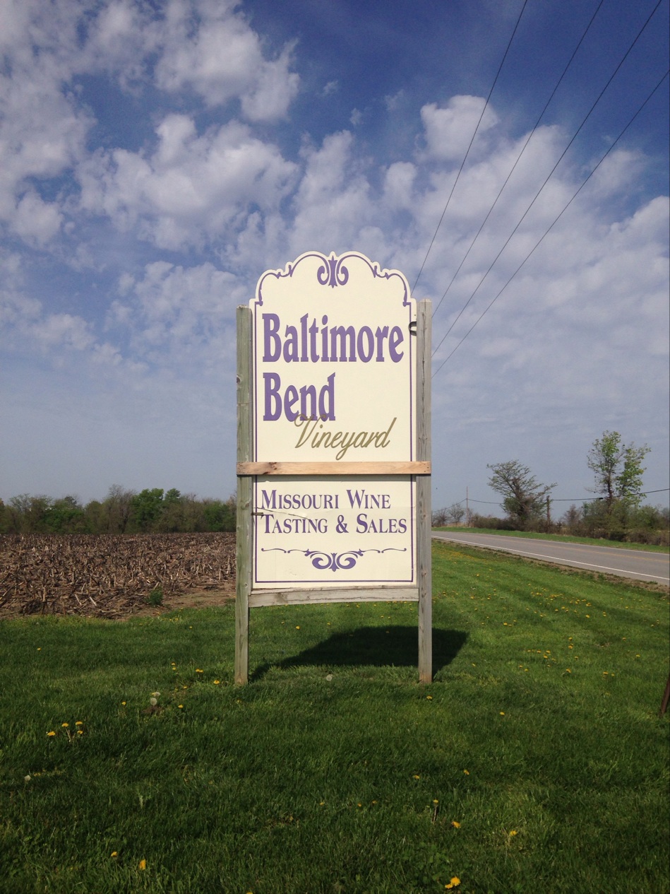 Baltimore Bend Vineyard