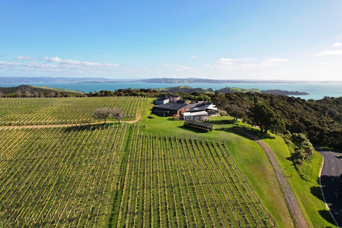 Batch Winery