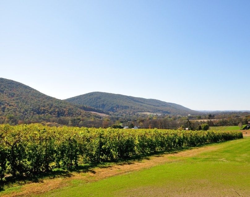 Benigna's Creek  Vineyard & Winery, Inc.
