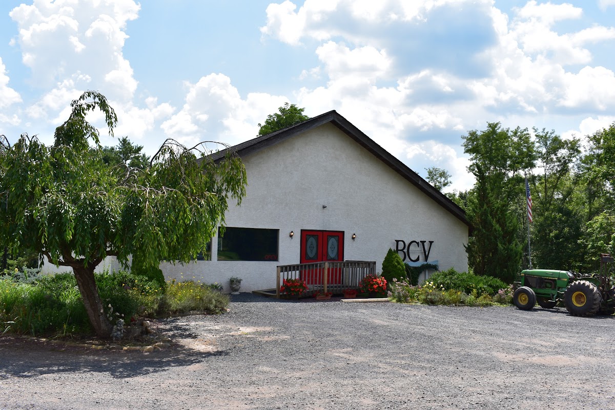 BIG CREEK VINEYARD, LTD.