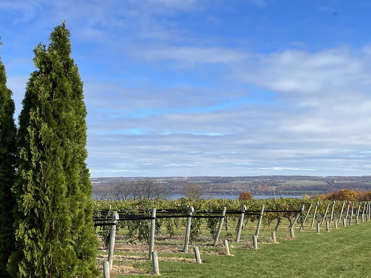 Birnbaum Vineyards