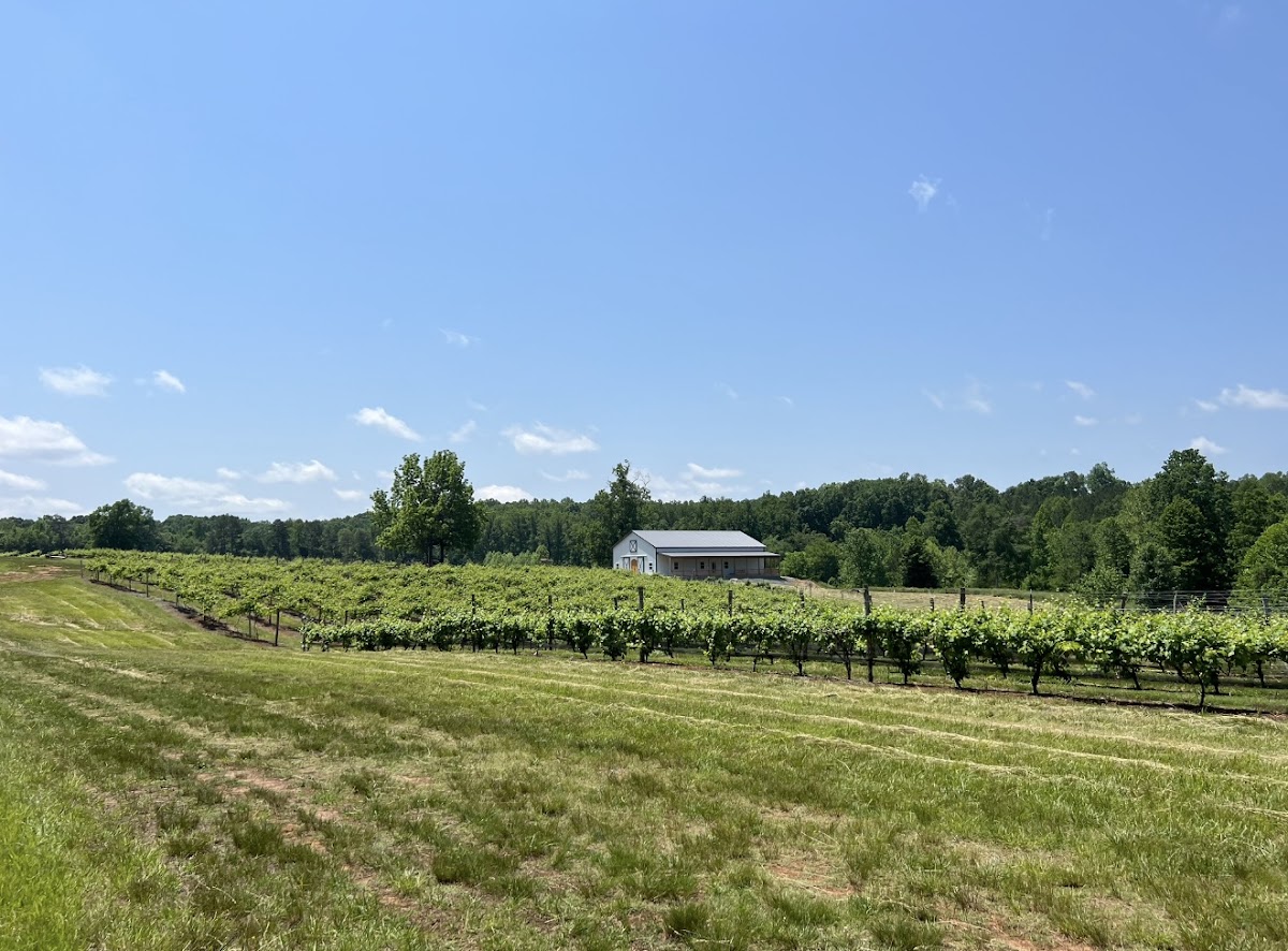 Blevins Family Vineyards