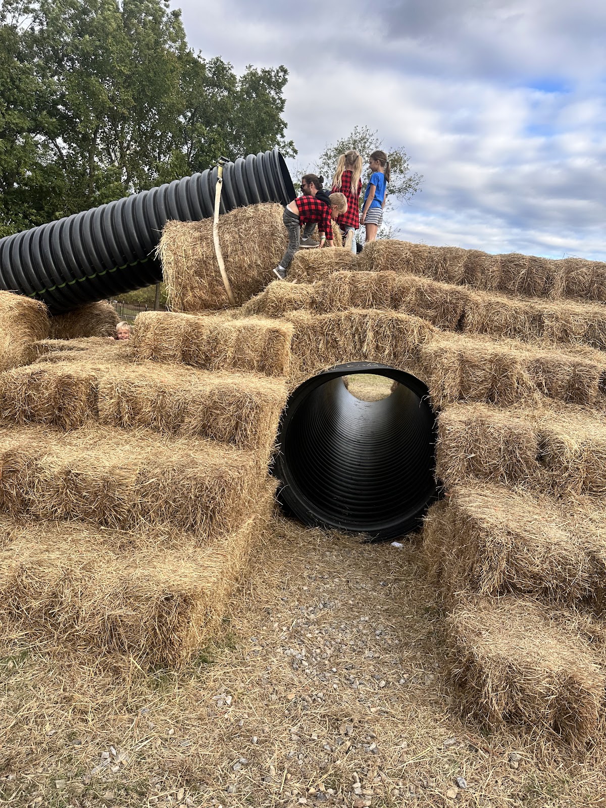 Bobrook Farms LLC