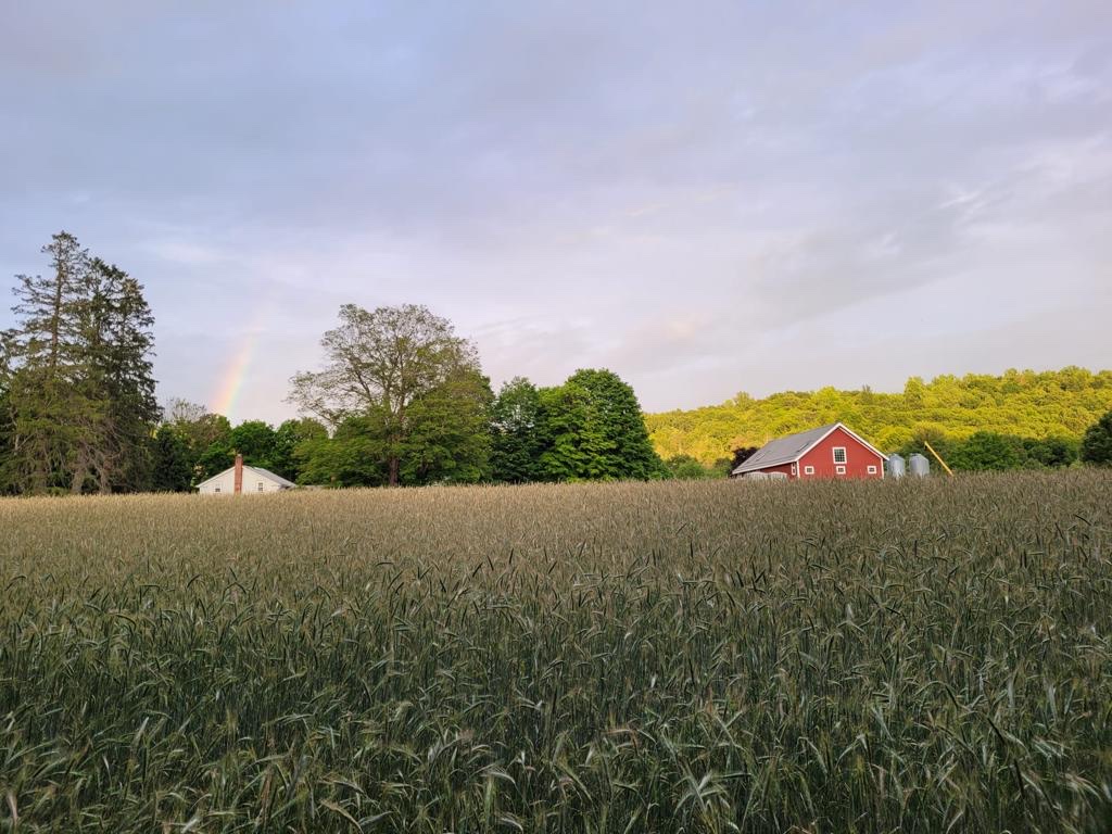 BRANCHWATER FARMS, LLC