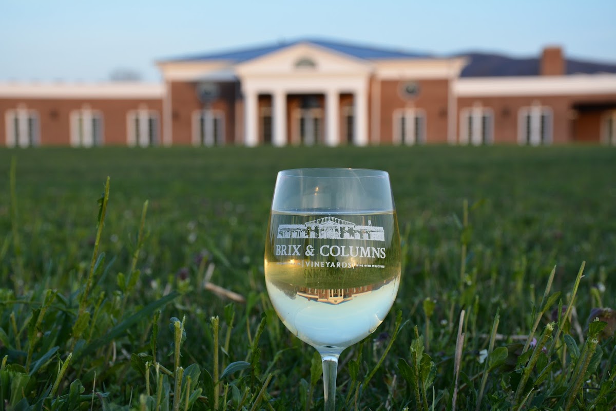 Brix and Columns Vineyards LLC