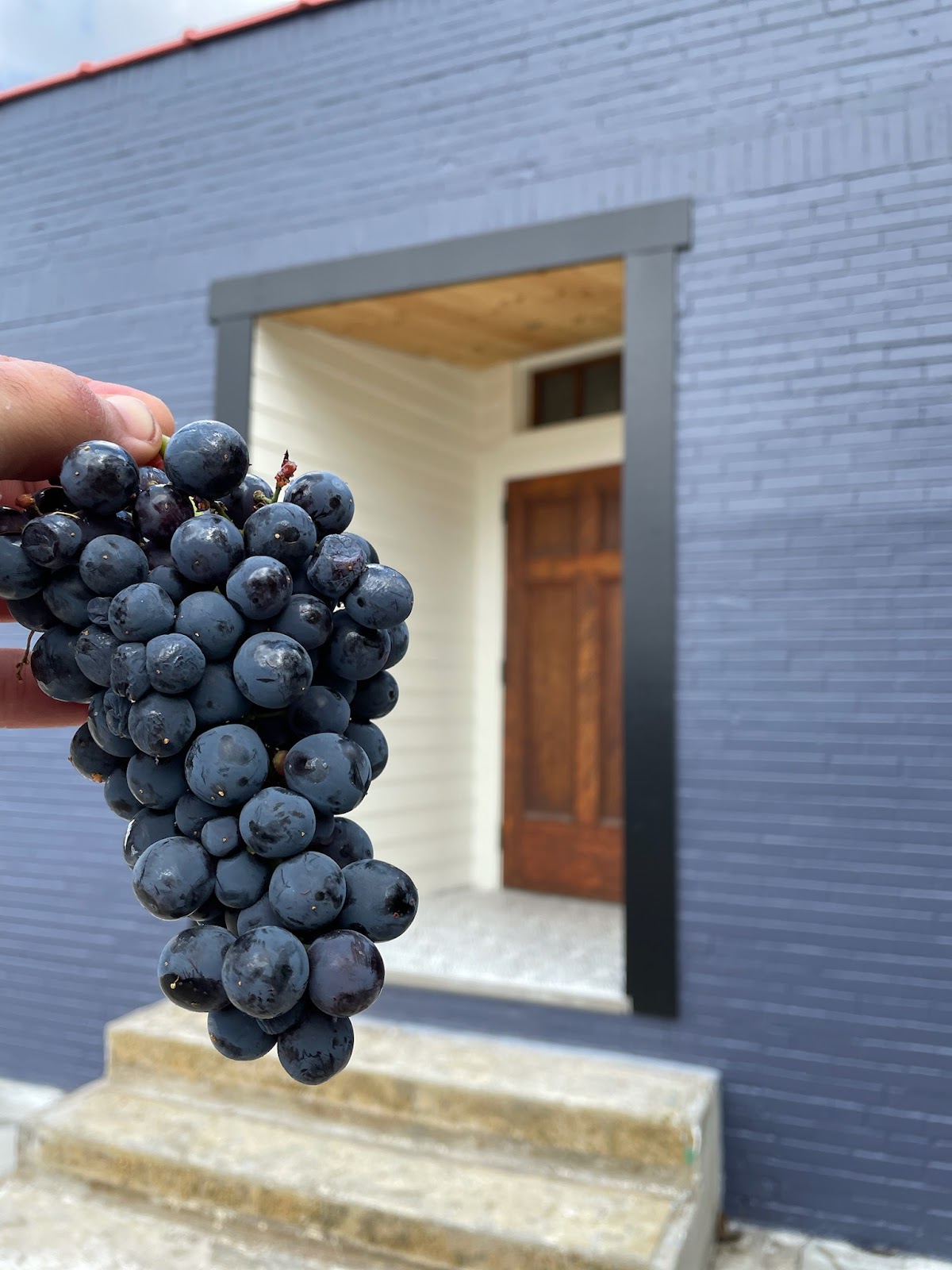 BROKEN WING WINERY LLC