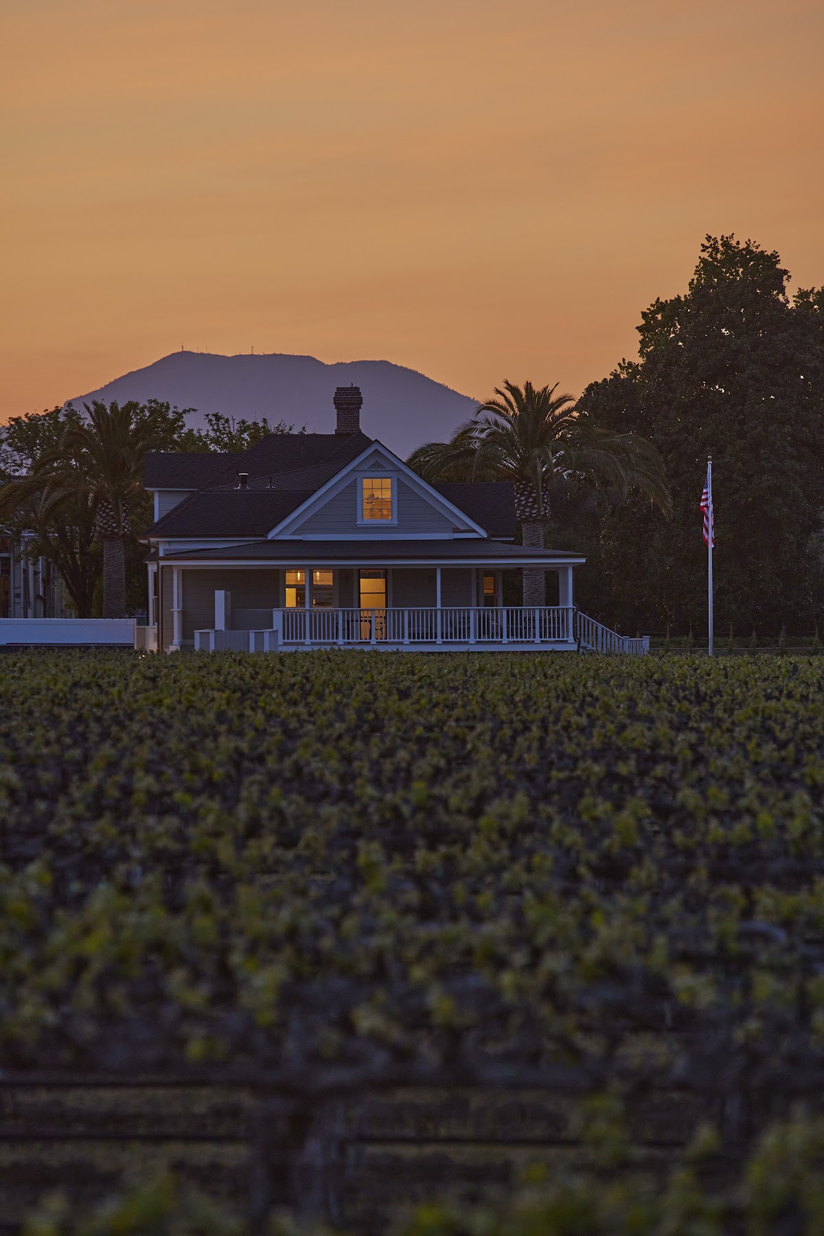 BRUNO CELLARS