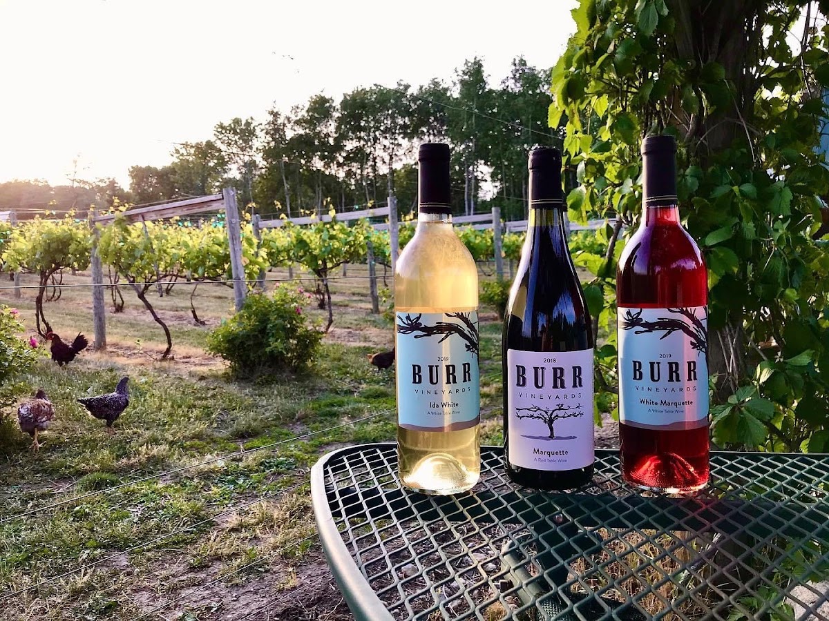 Burr Vineyards LLC