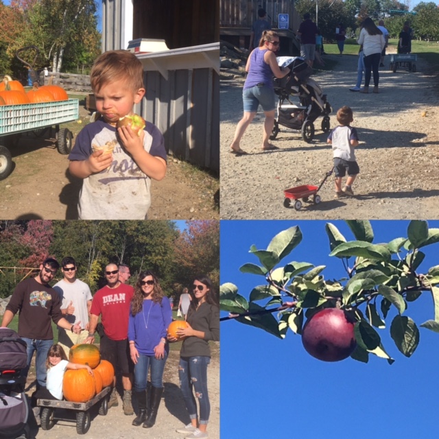 Butternut Farm LLC