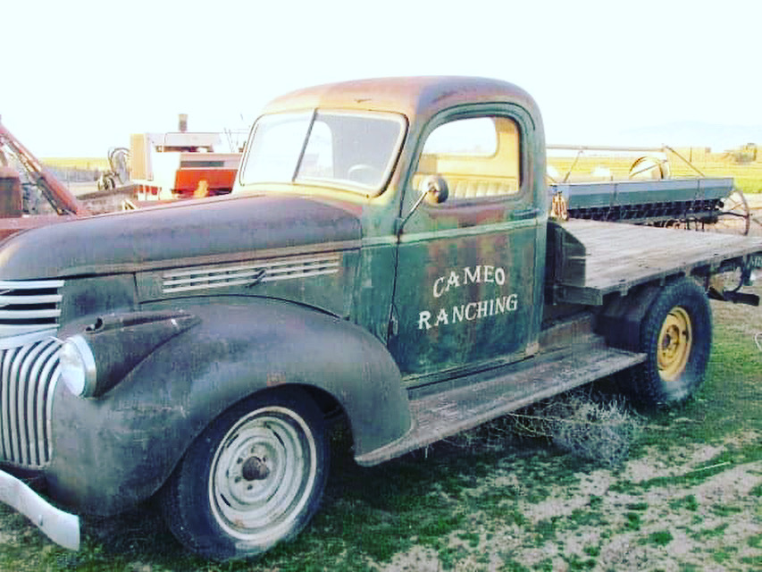 CAMEO RANCH AND WINERY