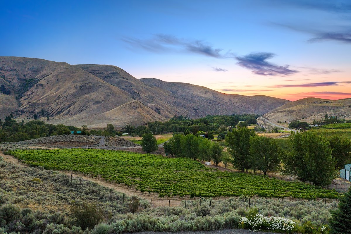 Canyon River Winery