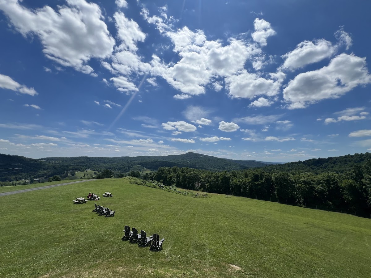 Capstone Vineyards, LLC