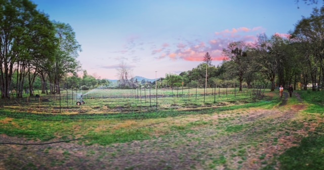 Cascadia Vineyards & Winery