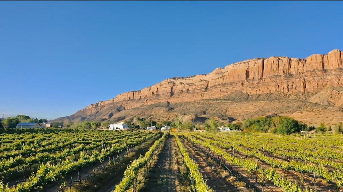 Castle Creek Winery