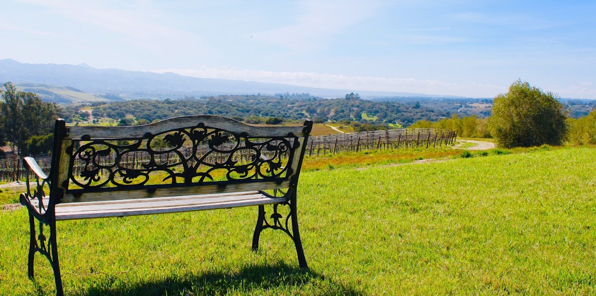 CEBADA VINEYARD