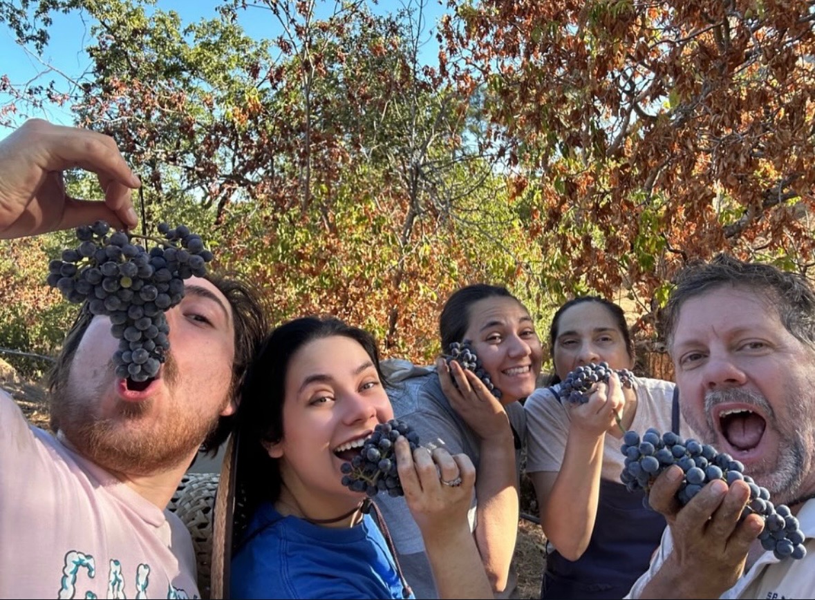 Chaney Family Winery, Inc.
