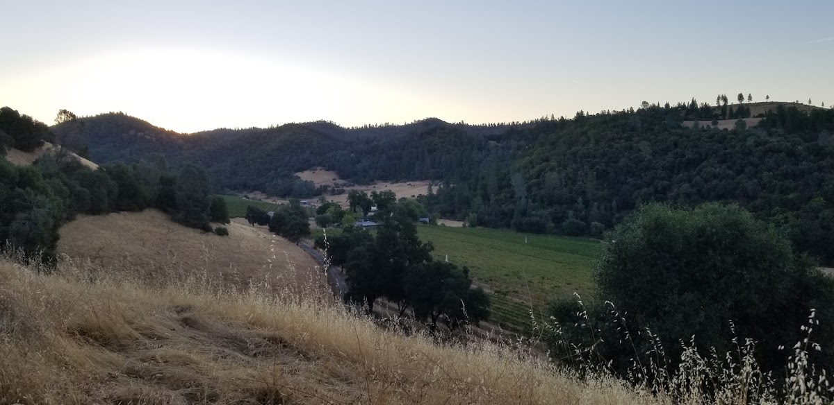Chatom Winery