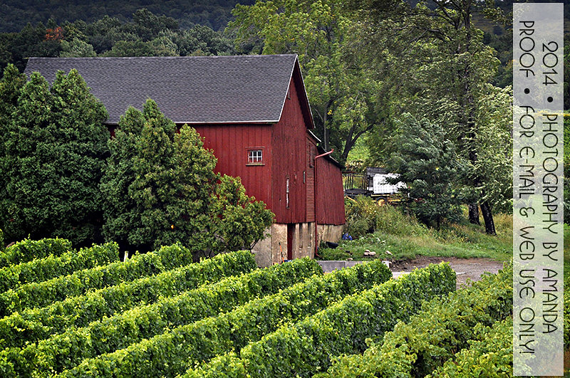 Chautauqua Lake Winery