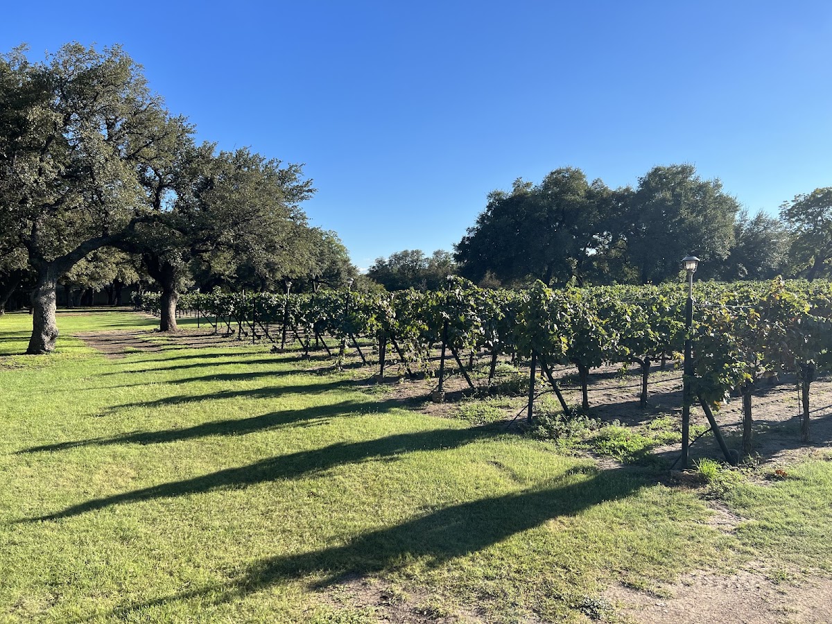 Christoval Winery