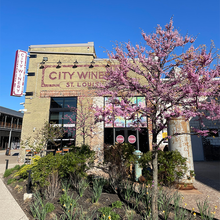 City Winery St. Louis, LLC