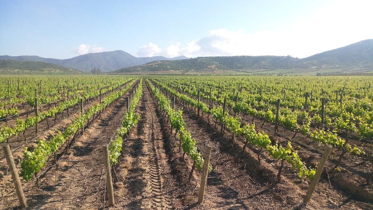 Viña Ventisquero (Maipo)