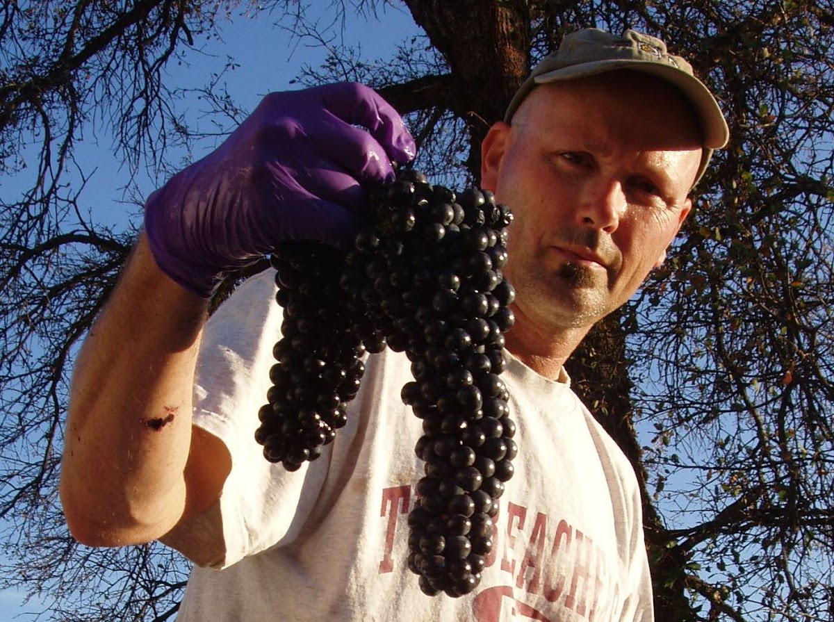 Clavey Vineyards & Winery
