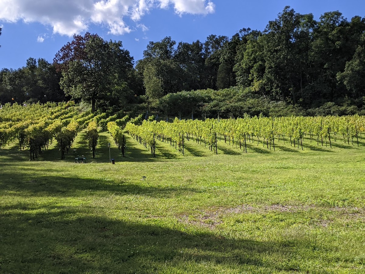 Clearview Winery LLC