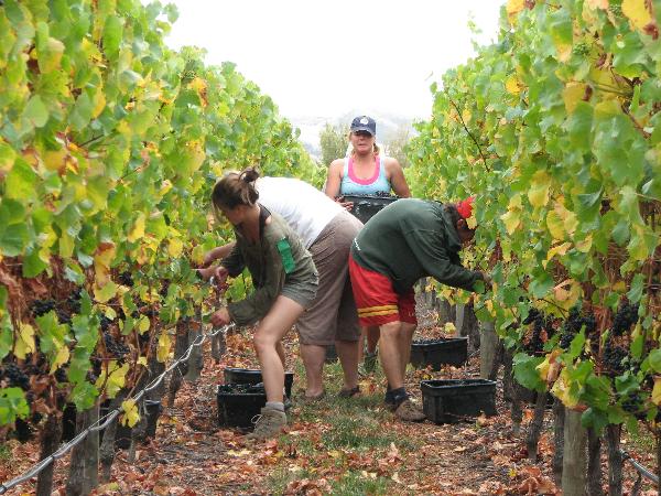 Clos Marguerite