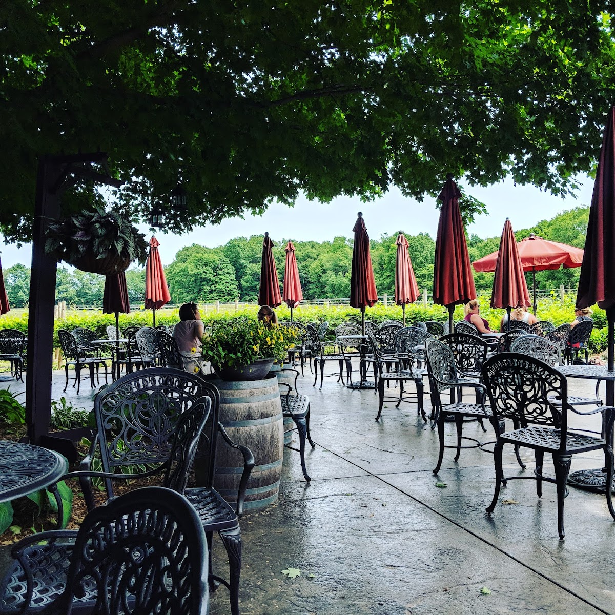 Cody Kresta Vineyard and Winery L.L.C.