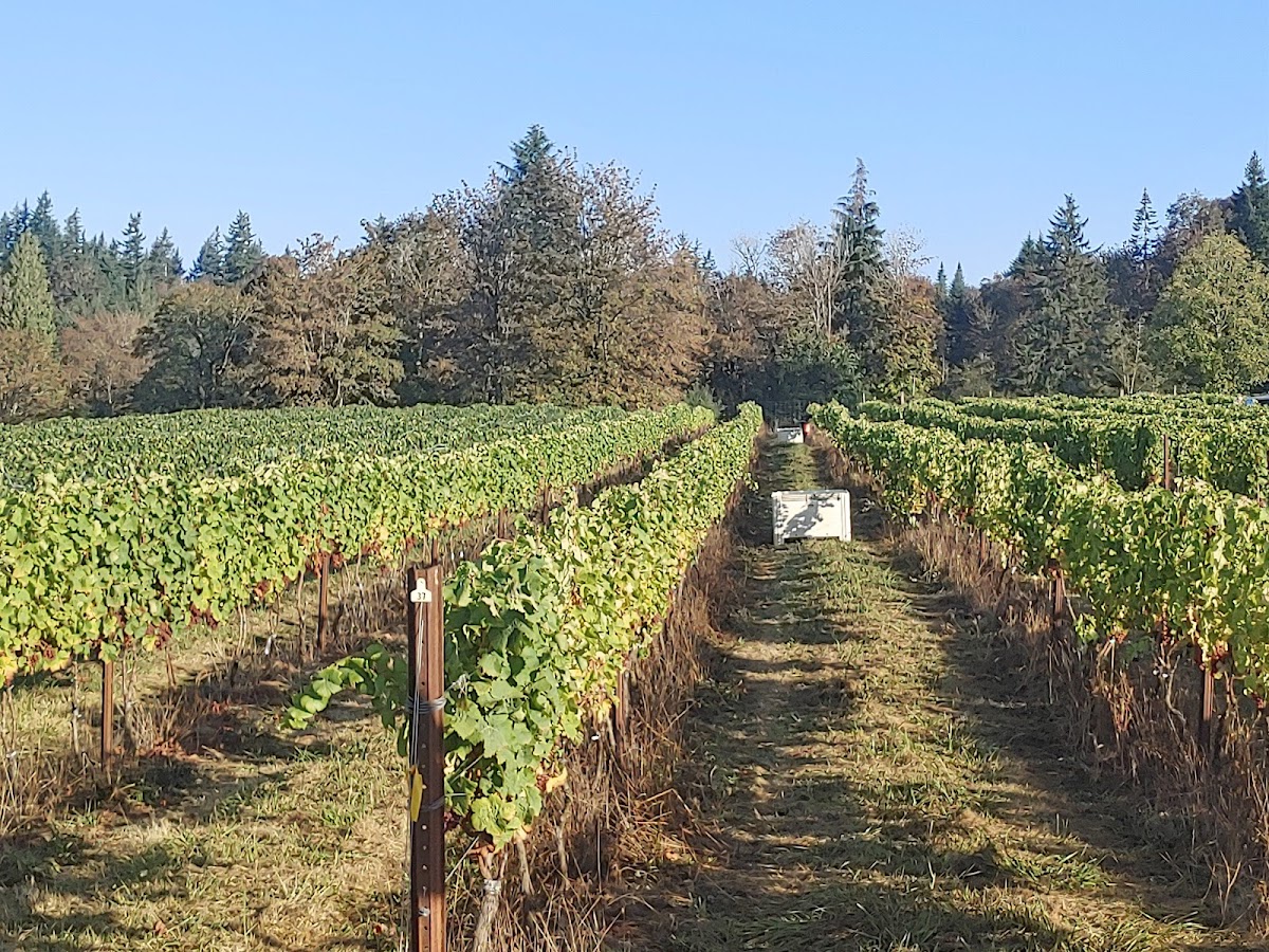 Columbia Gorge Vintners, LLC