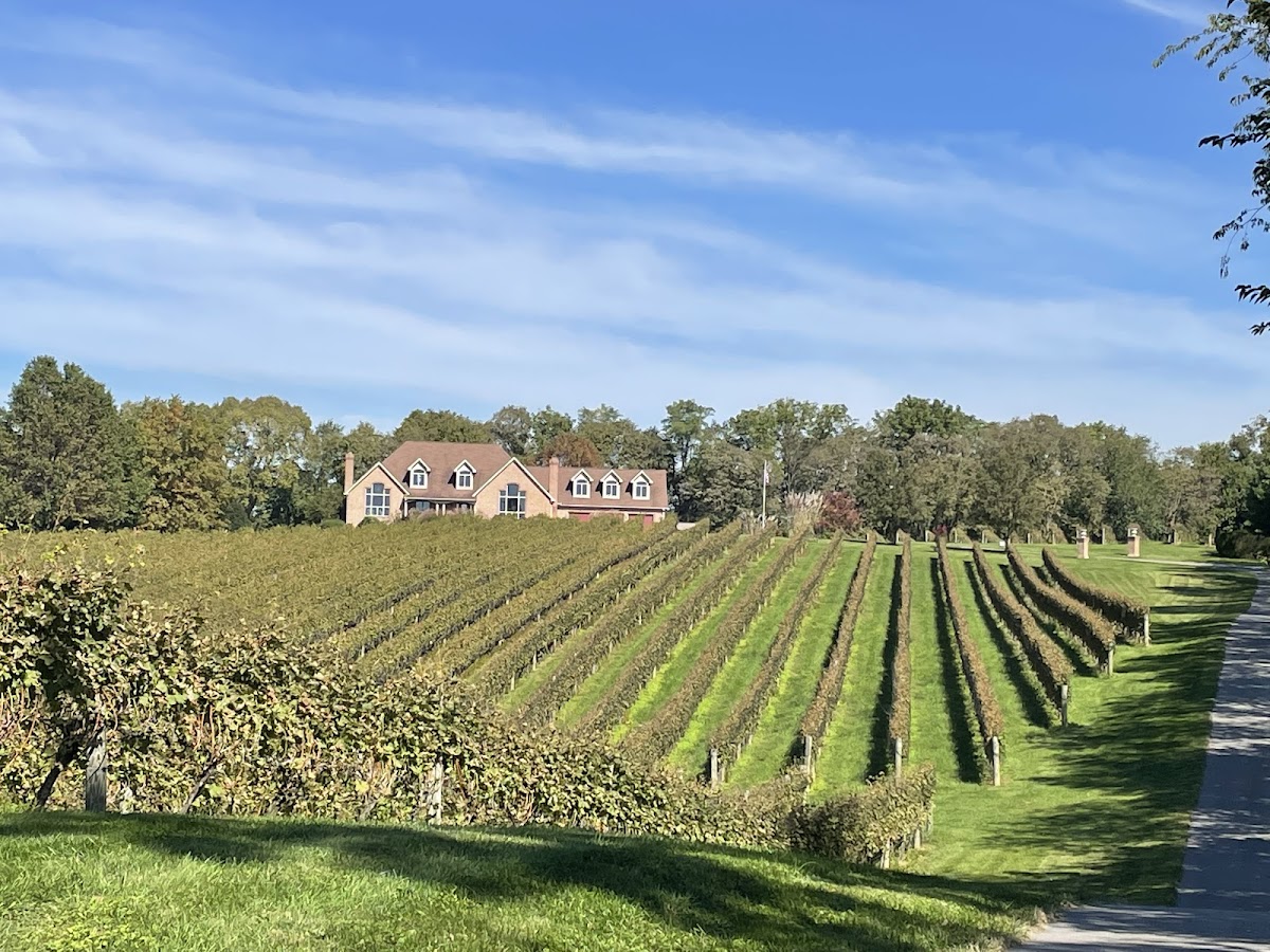 Cool Ridge Vineyard