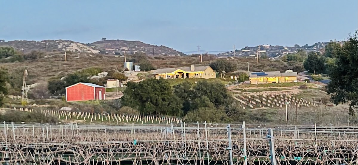 Creek Hollow Vineyards LLC