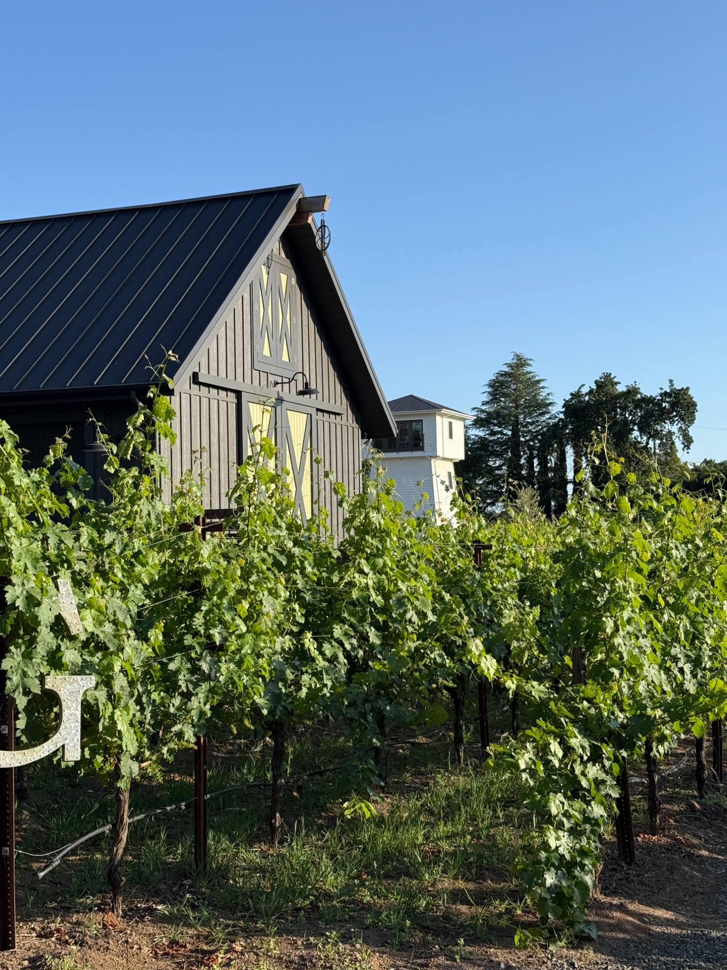 W Cab Wines