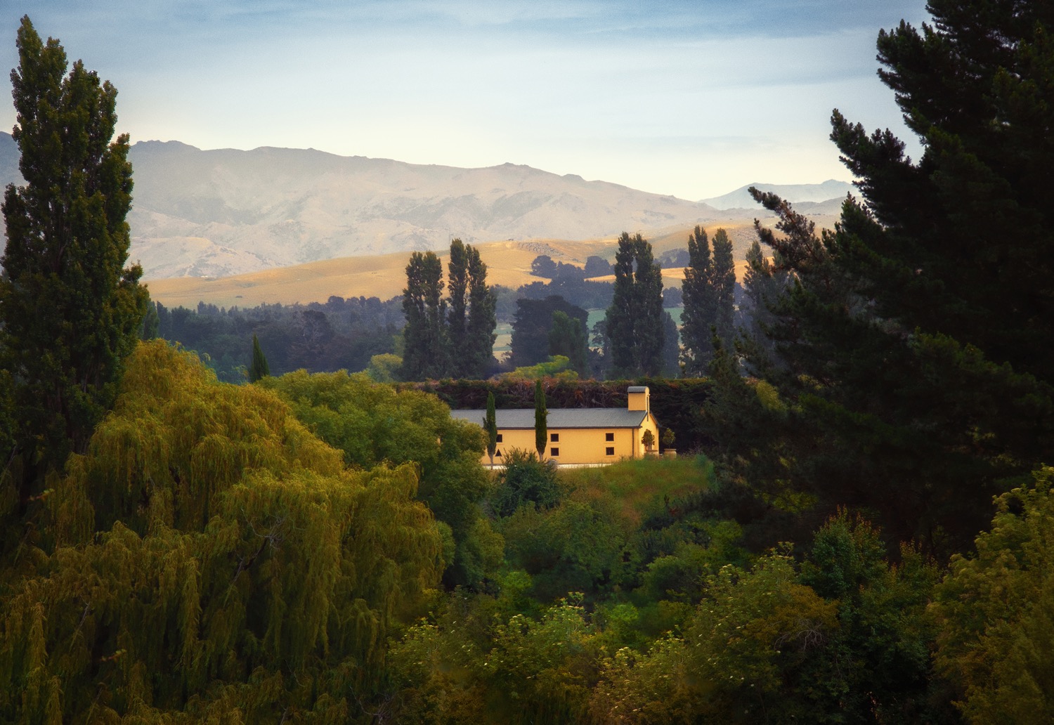 Dancing Water Winery