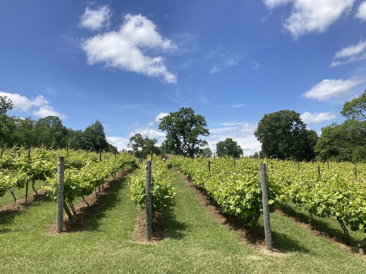 Devault Vineyards, L.L.C.