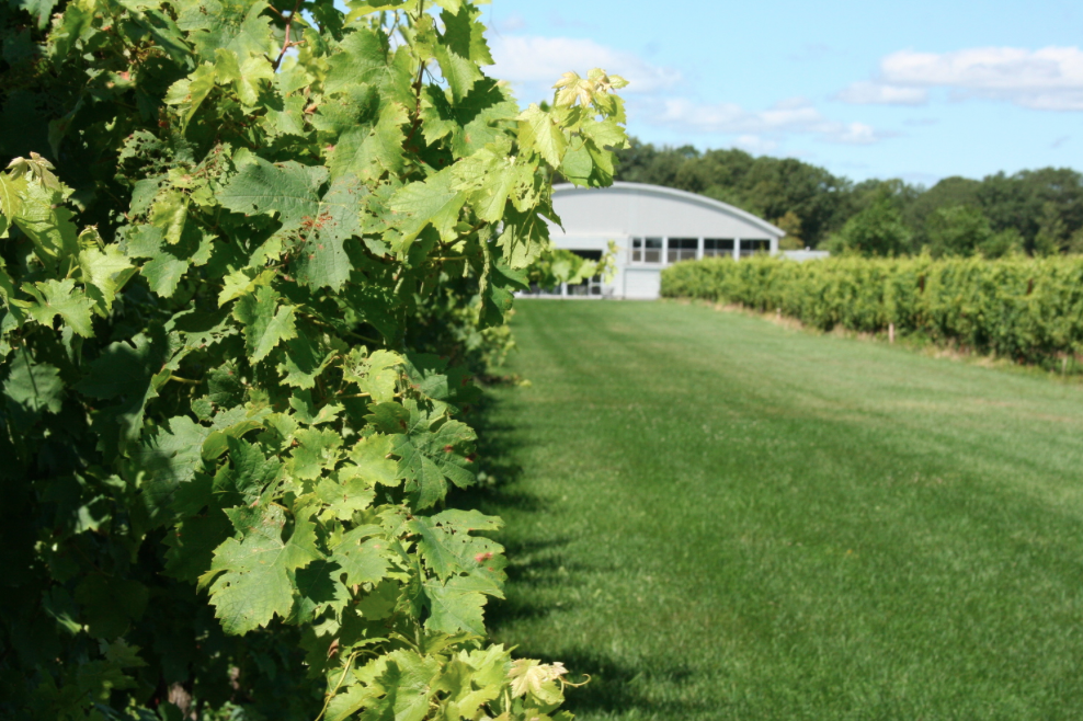 Devon Point Farm