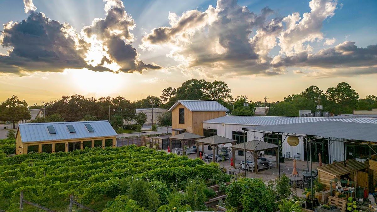 Dionisio Winery