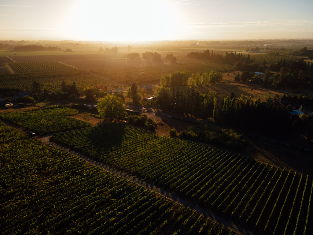 Domaine Mathiot