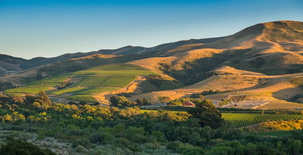 Donnachadh Family Wines, LLC
